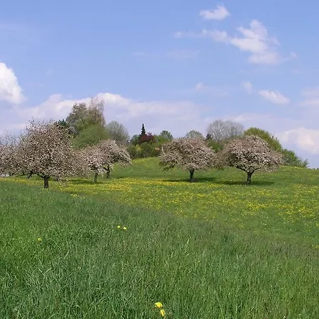 בית הארחה Humboldt-haus 3*