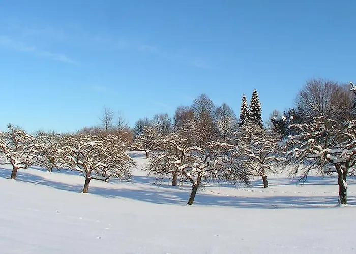 Humboldt-haus 3* Achberg