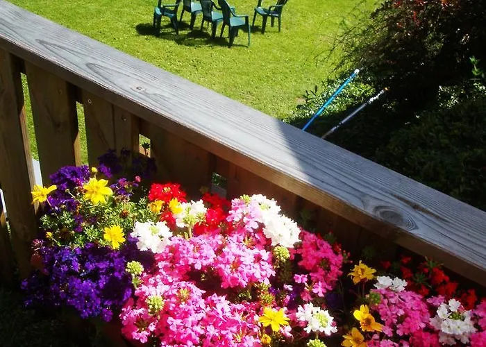 Pensionat Humboldt-haus 3*