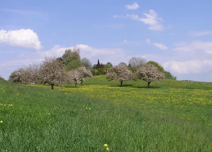 Pensionat Humboldt-haus 3*